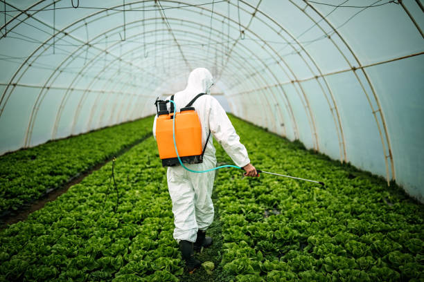 Best Residential Pest Control  in Chenango Bridge, NY