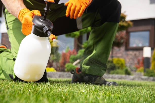 Pest Control Cost in Chenango Bridge, NY