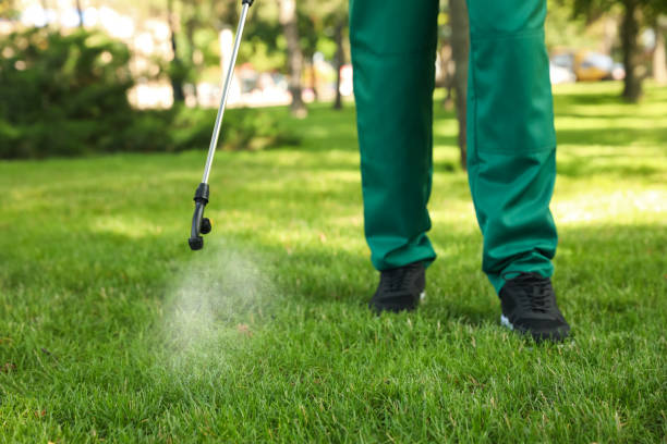 Best Mosquito Control Services  in Chenango Bridge, NY