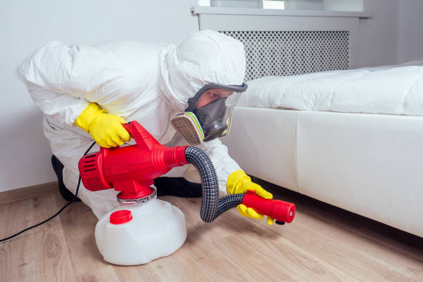 Best Pest Inspection Near Me  in Chenango Bridge, NY