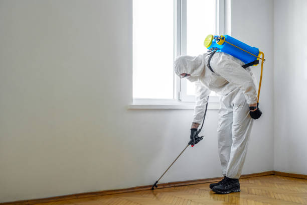 Best Wildlife Control Services  in Chenango Bridge, NY