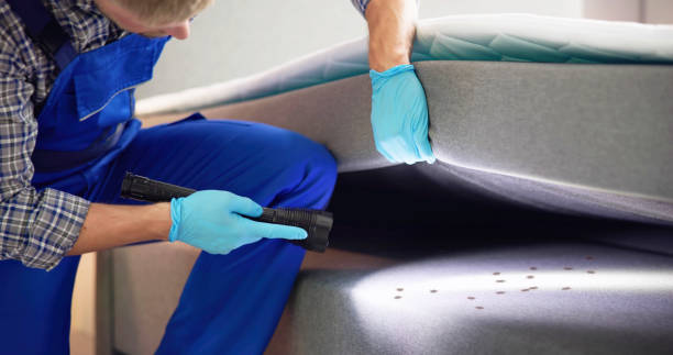 Best Best Pest Control Companies  in Chenango Bridge, NY