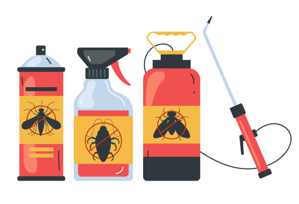 Best Termite Control Services  in Chenango Bridge, NY